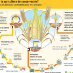 Beneficios de reducir residuos en la agricultura sostenible