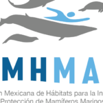 Principales organizaciones para la protección de los mamíferos marinos