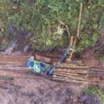 Cómo la deforestación afecta la biodiversidad y cómo actuar