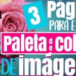 Descubre cómo obtener una paleta de colores desde una imagen