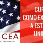 Descubre las oportunidades de exportación para tu negocio