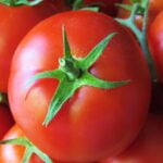 Desmontando el mito de la alimentación orgánica: ¿Realmente vale la pena el gasto?