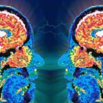 El impacto del uso de sustancias en la memoria: adicciones y recuerdos