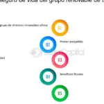 Mejora tu futuro financiero: Educación sobre seguros de vida renovables