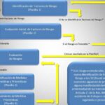 Protocolos de ergonomía laboral para un ambiente de trabajo seguro