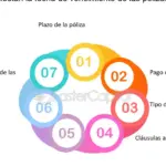 ¿Qué pasa si el asegurado sobrevive a la fecha de vencimiento?