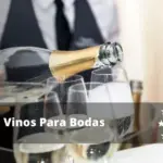 Vino de Oporto: Característica distintiva para deleitar tu paladar